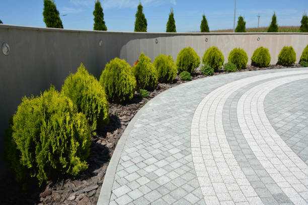 Best Driveway Paving Company  in Pittsfield, IL